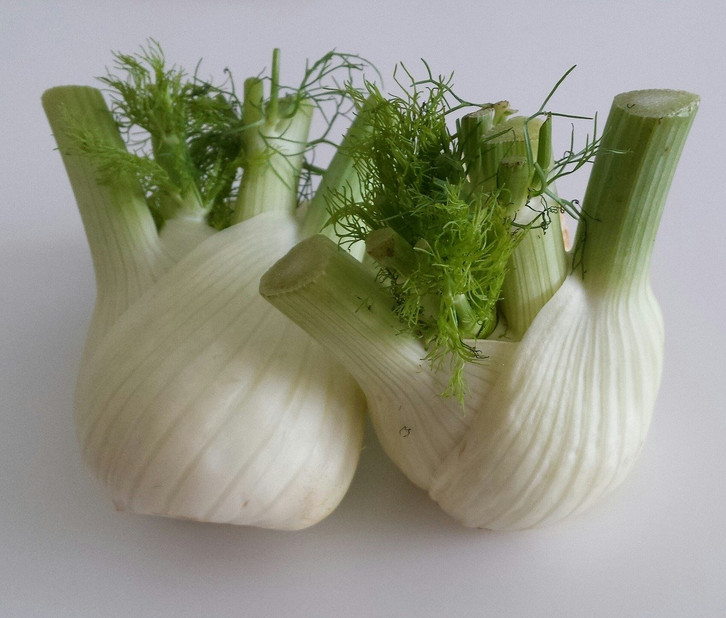 Fenchel pflanzen: So baust du ihn in deinem Garten an - Utopia.de