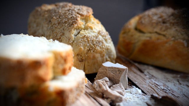 hefe-vegan-cc0-pixabay-congerdesign-220412 hefe vegan