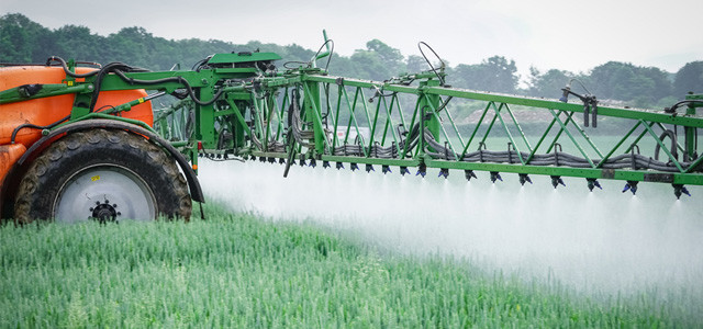Glyphosat & Roundup: umstrittene Unkrautvernichtugnsmittel Glyphosat & Roundup: umstrittene Unkrautvernichtugnsmittel