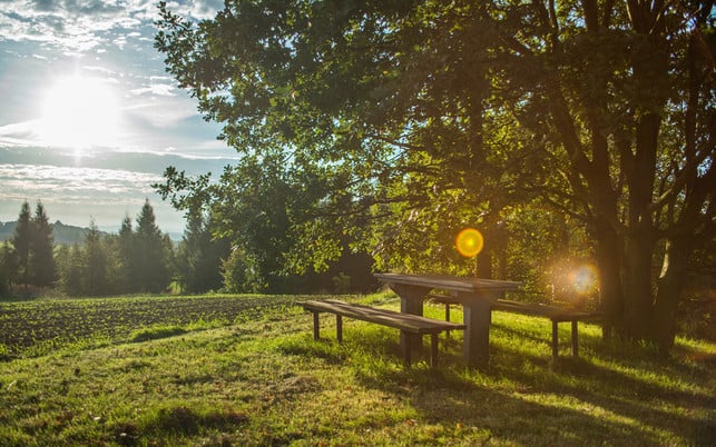 vitd-content-3-161123-1280x800 Vitamin D tanken geht ganz einfach an der Sonne.