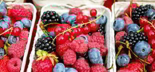Frische Beeren haben im Herbst keine Saison