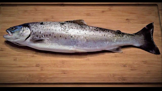 Verbraucherzentrale aktualisiert Fischratgeber: Welchen Fisch kann man noch essen?