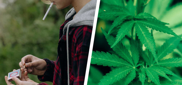 Suchthilfe studie cannabis Jugendliche