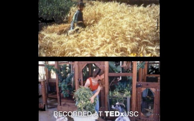 jane-poynter-pizza-sc-youtube-ted-220204-1280x800 Jane Poynter "bäckt Pizza" in Biosphere 2.