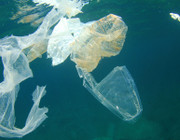 Plastikmüll Meer