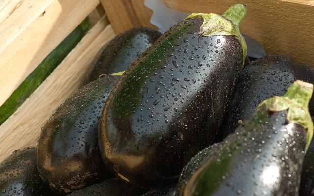 blackfood-aubergine-pb-jackmac34-170329-1280x800 Black Food: Aubergine