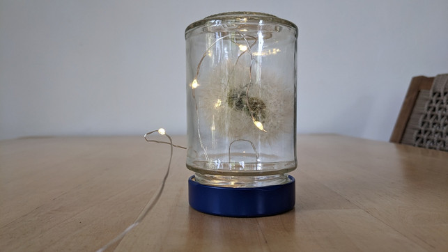 in-einem-einmachglas-machen-sich-die-pusteblumen-g-marie-theres-bauer-utopia-230522_download In einem Einmachglas machen sich die Pusteblumen gut als Geschenk.