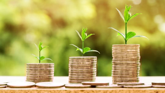 Tagesgeld: Welche nachhaltige Bank hat die besten Zinsen? Tagesgeld Zinsen nachhaltige Bank