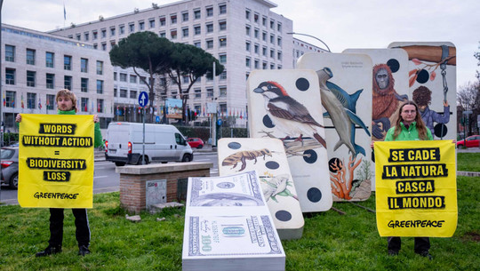 Artenschutz: UN-Konferenz erzielt Einigung, die sogar Umweltschützer:innen loben Artenschutz: UN-Konferenz erzielt Einigung, die sogar Umweltschützer:innen loben