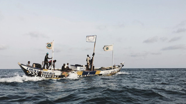 versauerung der meere-us-Kurnaz200325-1280x720 Versauerung der Meere