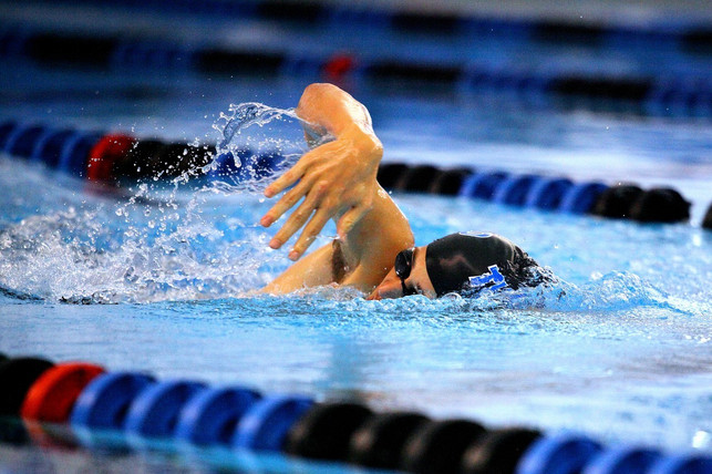 der-chlorgeruch-im-schwimmbad-entsteht-durch-harns-cc0-pixabay-huddlestonco-240812_download Der Chlorgeruch im Schwimmbad entsteht durch Harnstoffe.