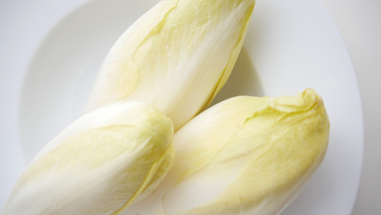 chicoree-auflauf-cc0-pixabay-grietvanpier-190719 chicorée auflauf