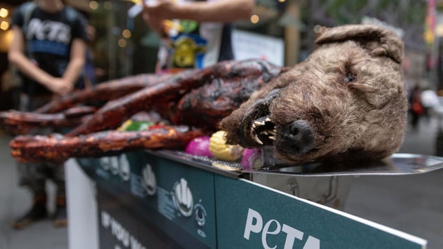 hund-grill-peta-z-peta-australia-190612-1280x720 Mit einer ähnlichen Aktion informierte PETA in Sydney über die Thematik.