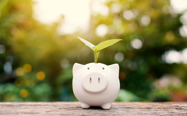 VRK ist eine nachhaltige Versicherung.