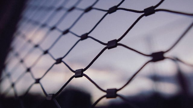 Anspruch auf veganes Essen im Gefängnis? Bayerisches Gericht fällt Entscheidung Gefängnis veganes Essen