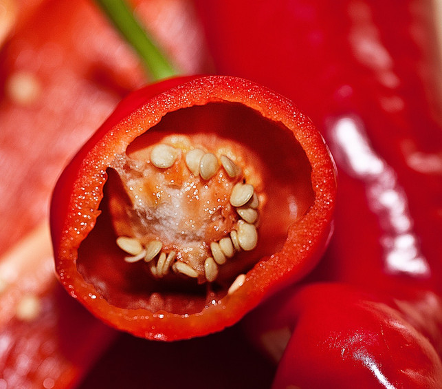 aus-den-kernen-der-frucht-kannst-du-deine-chili-vo-cc0-pixabay-uroburos-240125_download Aus den Kernen der Frucht kannst du deine Chili vorziehen.