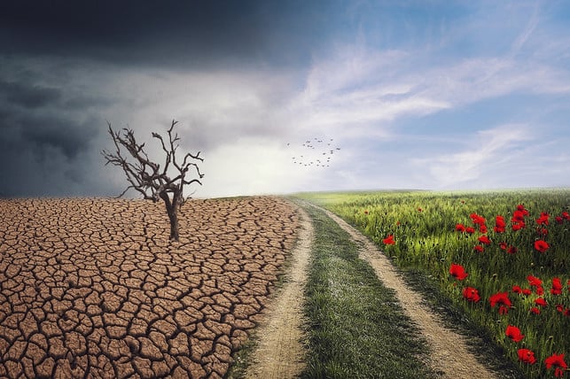 durch-viele-oekologische-vorteile-kann-cellular-agr-cc0-pixabay-elg21-220218_download Durch viele ökologische Vorteile kann Cellular Agriculture positiv zur Erhaltung unseres Planeten beitragen.