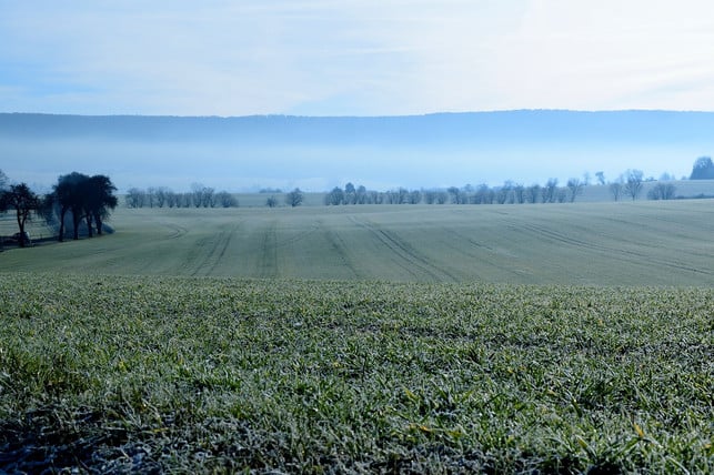 eisheiligen-warnen-vor-frost-im-mai-cc0-pixabay-hanslinde-190128_download Die Eisheiligen warnen vor Frost im Mai.