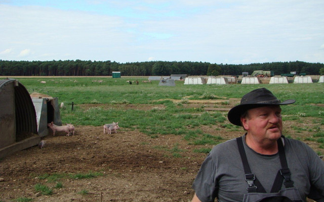 Seine kleinen Schweine_8