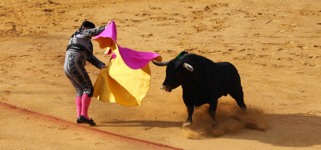 Stierkampf Gesetz Mallorca Balearische Inseln