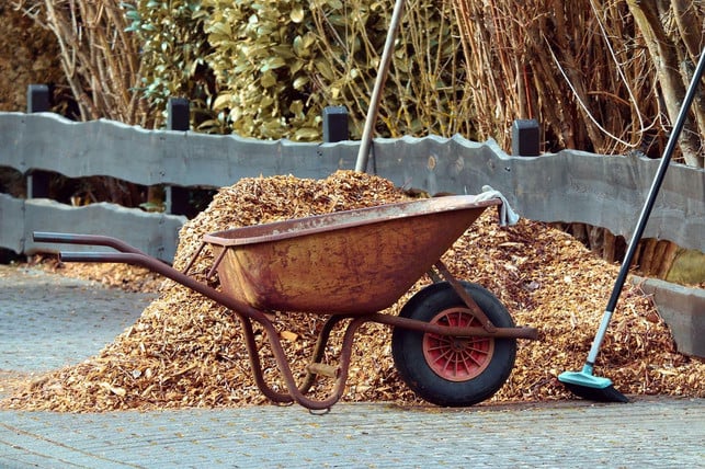 rindenmulch-hat-noch-mehr-vorteile-als-unkraut-fer-cc0-pixabay-manfredrichter-220722_download Rindenmulch hat noch mehr Vorteile als Unkraut fernzuhalten.
