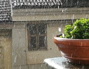 regenwasser sammeln balkon