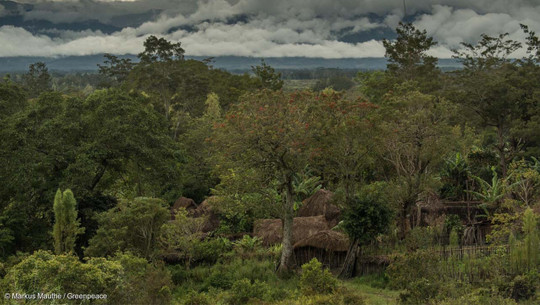 grad.jetzt Biodiversität