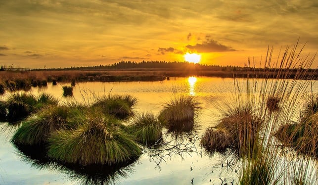 auf-fernwanderwegen-in-deutschland-bieten-sich-dir-cc0-pixabay-herbert2512-210414_download Auf deutschen Fernwanderwegen bieten sich dir beeindruckende Landschaften wie die Moore auf dem Eifelsteig.