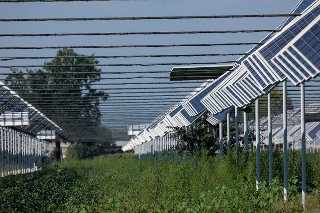 Agrivoltaic Es gibt zwei grundlegende Modelle in der Agriphotovoltaik.