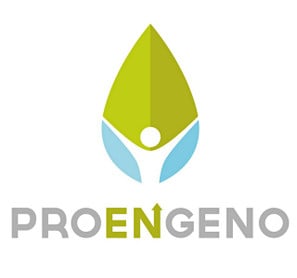 Ökostrom ProEngeno Naturmix Premium
