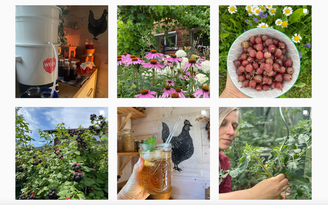 bei-sabrina-geht-es-um-permakultur-sreenshot-cumnatura_permakultur-instagram-220713_download Bei Sabrina geht es um Permakultur