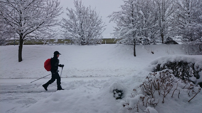 mit-der-richtigen-technik-kannst-du-beim-nordic-wa-cc0-pixabay-pasja1000-201114_download Mit der richtigen Technik kannst du beim Nordic Walking Gelenkschäden vermeiden und deinen Trainingseffekt verbessern.