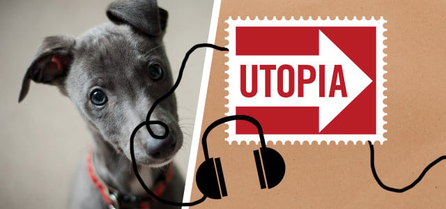 Utopia-Podcast: Nachhaltig leben mit Hund