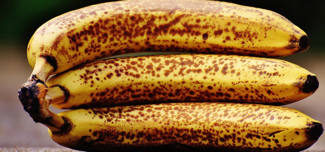 SirPlus gegen Lebensmittelverschwendung, dunkle Bananen
