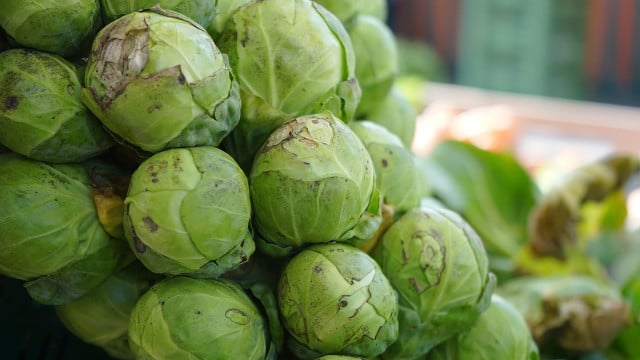 rosenkohl-lagern-cc0-pixabay-hans-221022 rosenkohl lagern