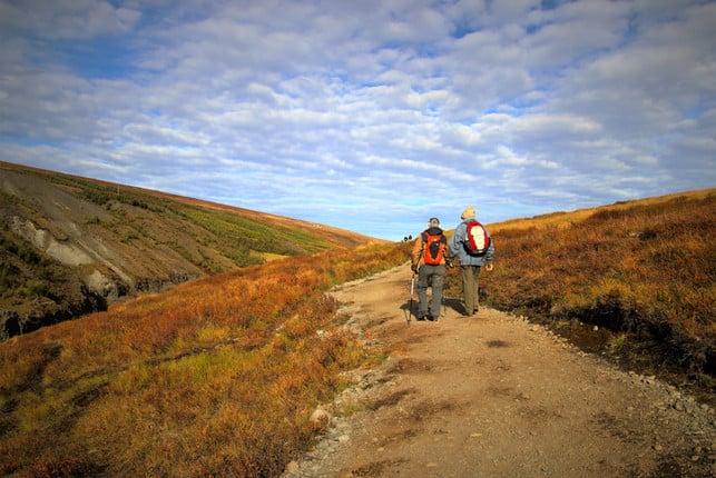 Nordic walking is gentle on the joints and activates many muscle groups. 