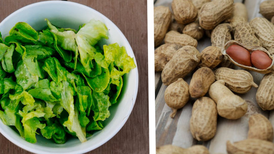 Kopfsalat und Erdnüsse: Lebensmittel, die du im Winter meiden solltest Kopfsalat und Erdnüsse: Lebensmittel, die du im Winter meiden solltest