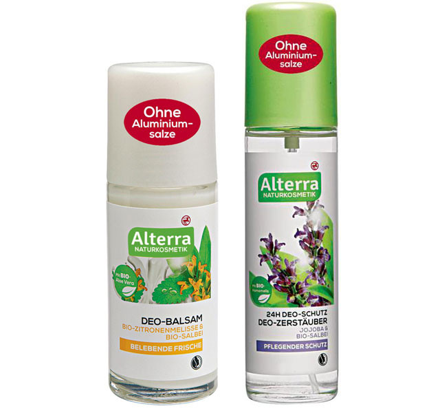 aloe vera pflanze kaufen 5 jahre Aloe Humilis – Topfgröße 5,5 cm – urbanjngl.com main image 0