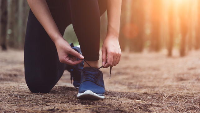 Woman tying up shoelaces when jogging in forest back with drinki morgens oder abends sport