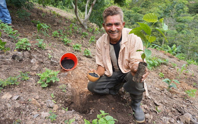 Mit Pflanzenkohle in die Zukunft Mit Pflanzenkohle in die Zukunft