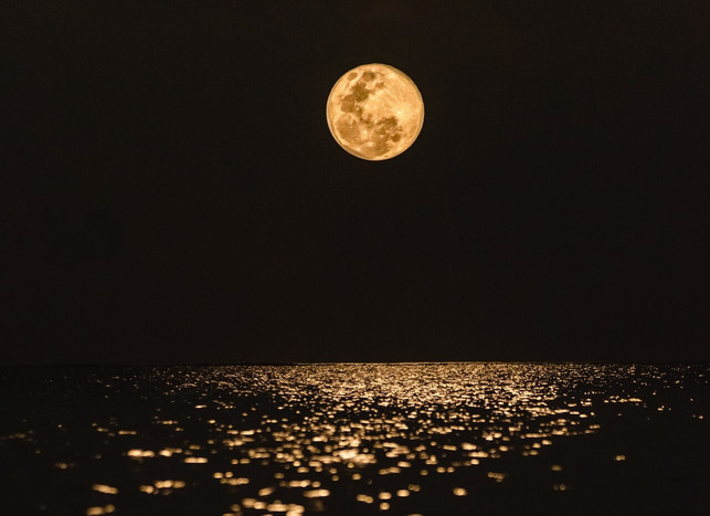 die-atmosphaere-kann-beeinflussen-in-welcher-farbe-cc0-unsplash-javardh-javardh-230803_download Die Atmosphäre kann beeinflussen, in welcher Farbe uns der Mond erscheint. Möglicherweise ist so die Bezeichnung des Blue Moon entstanden.