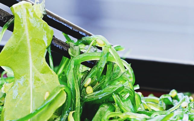 was-aussieht-wie-gruener-salat-ist-ein-salat-aus-a-cc0-pixabay-pixel2013-200801_download Was aussieht wie grüner Salat, ist ein Salat aus Algen.