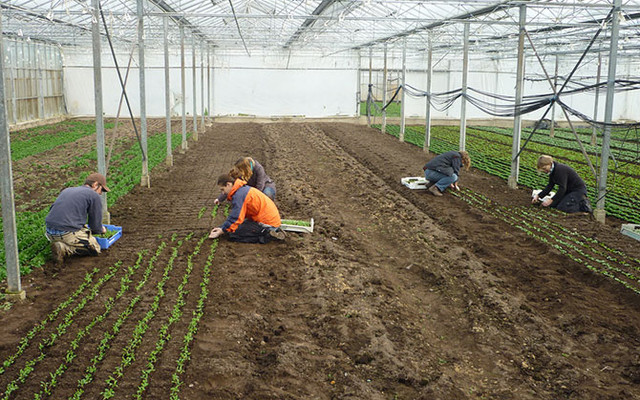 Solidarische Landwirtschaft Solidarische Landwirtschaft