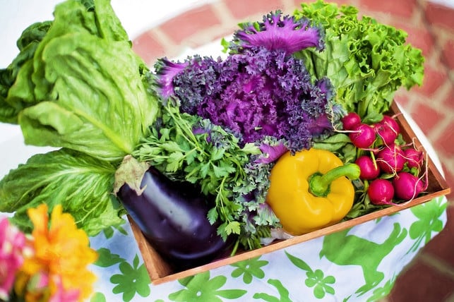 basische-ernaehrung-bedeutet-dass-hauptsaechlich-le-cc0-pixabay-jillwellington-241126_download Basische Ernährung bedeutet, dass hauptsächlich Lebensmittel gegessen werden, die basisch verstoffwechselt werden.