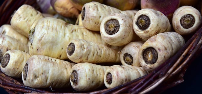 pastinakenpueree-cc0-pixabay-ulleo-190114 Pastinakenpüree