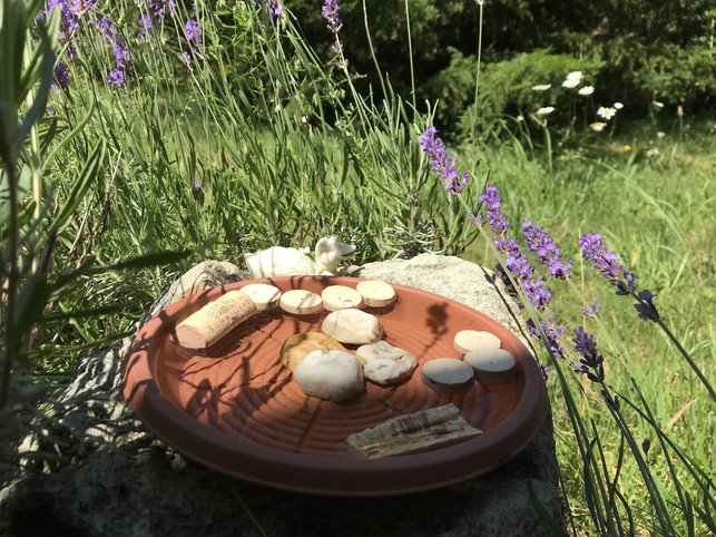 platziere-die-fertige-bienentraenke-am-besten-in-de-utopia-anna-grimmer-190627_download Platziere die fertige Bienentränke am besten in der Nähe bienenfreundlicher Pflanzen, an einem sonnigen und warmen Ort.