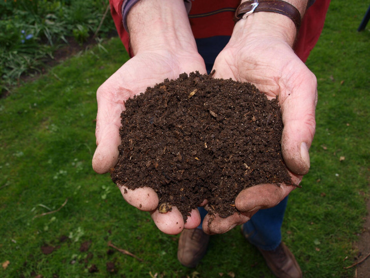 Mulchen: Warum das im Garten oft sinnvoll ist - Utopia.de