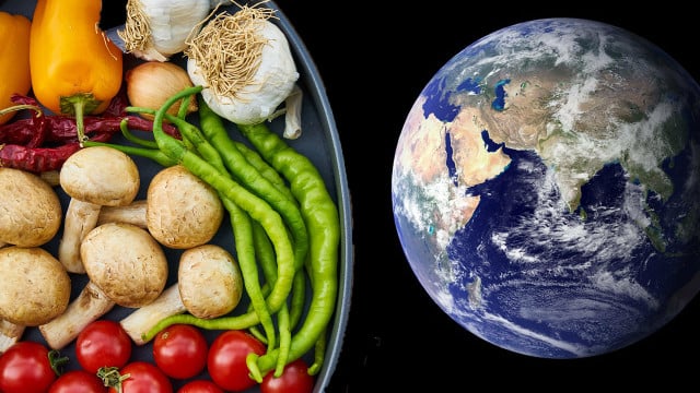 Für Erde und Gesundheit: Forscher:innen entwickeln den perfekten Ernährungsplan Die "planetary health diet" soll gut für die Erde und den Menschen sein.
