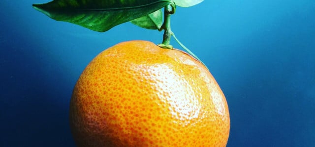 satsumas