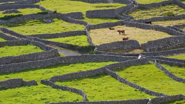 trockenmauern-dienten-als-weidebegrenzungen-cc0-pixabay-hbieser-220222_download Trockenmauern dienten als Weidebegrenzungen.